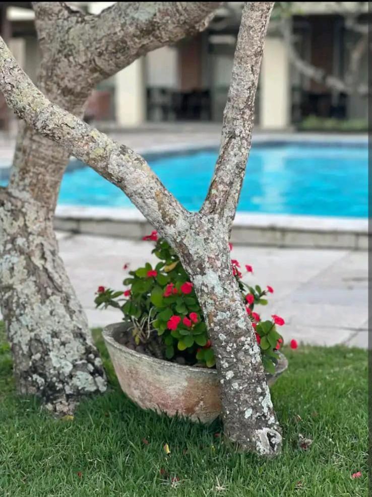 Flat Monte Castelo Gravata Guest House Exterior foto
